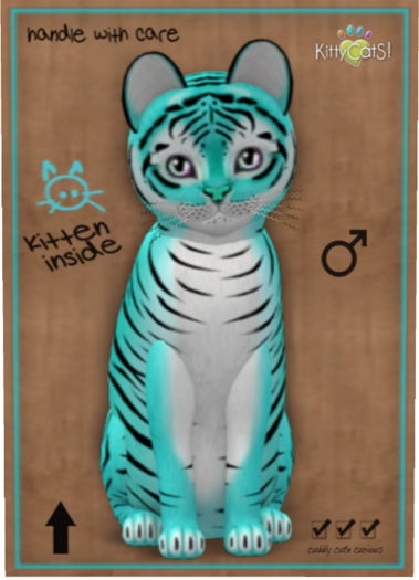 KittyCatS Box - Tiger! - Turquoise