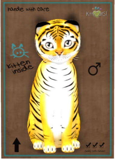KittyCatS Box - Tiger! - Golden Ticket