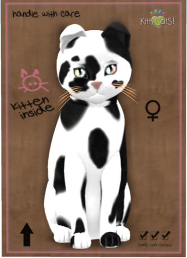 KittyCatS Box - NuMoo