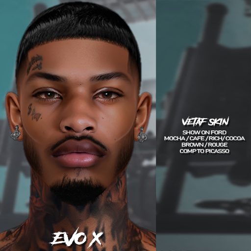 OK - VETAF SKIN RICH EVOX