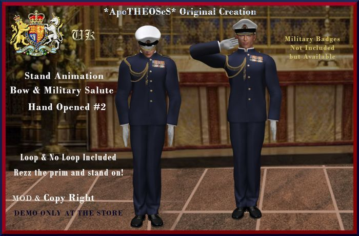  Stand Animation Bow & Military Salute #2