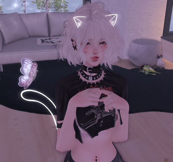 Hka : Cat set