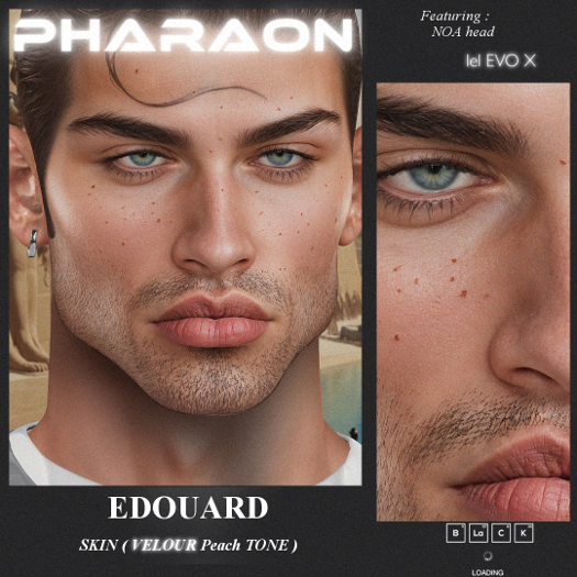 PHARAON - EDOUARD  / Skin EvoX