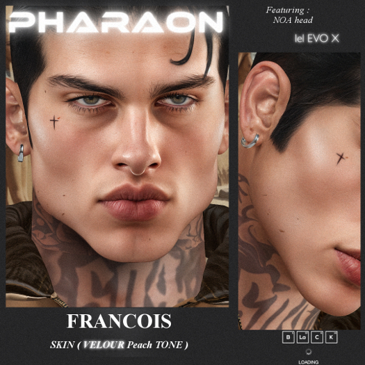 PHARAON - FRANCOIS  / Skin EvoX