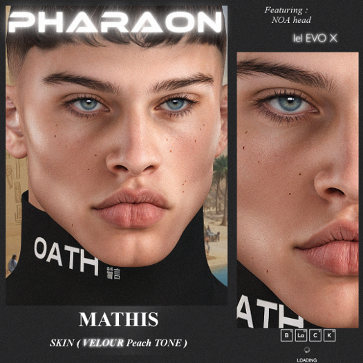 PHARAON - MATHIS  / Skin EvoX