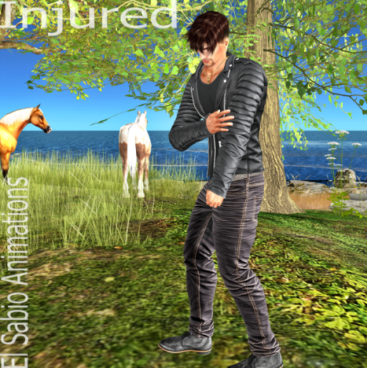 Injured pose package
