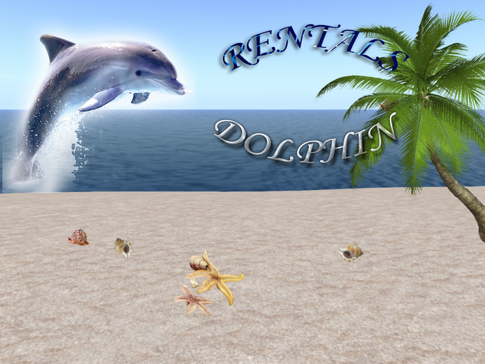 Dolphin Rentals