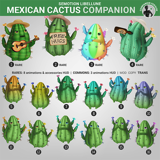 6. SEmotion Libellune Mexican Cactus Companion