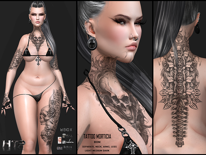 HTP -HARI TATTOO MORTICIA BOX