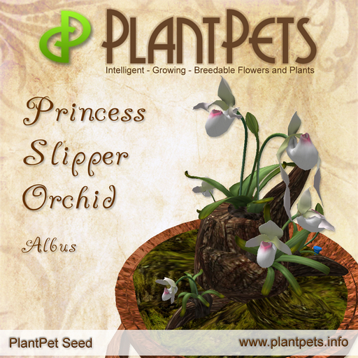 PlantPet Seed [Princess Slipper Orchid *Albus*]