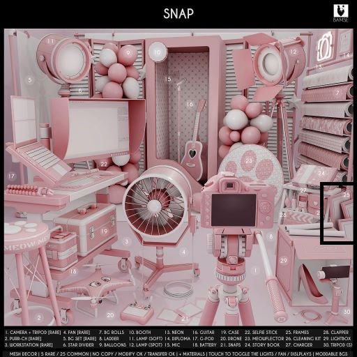 25. BAMSE : Snap - Frames