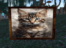 Wall Painting Cat