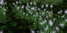 ALMOST FREE! WHIMSY 1 PRIM White Fuzzy SCULPTY FAE FANTASY FLOWERS