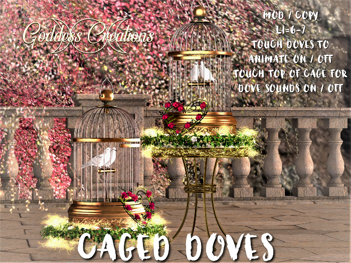 )O( GC: Caged Doves