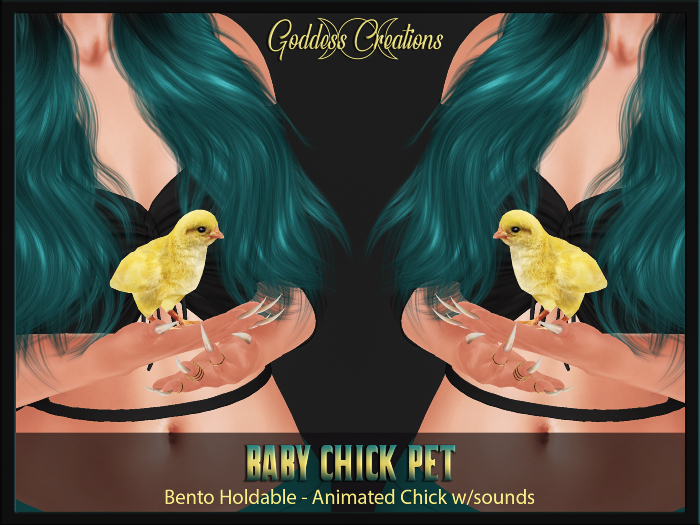 )O( GC: Baby Chick Pet