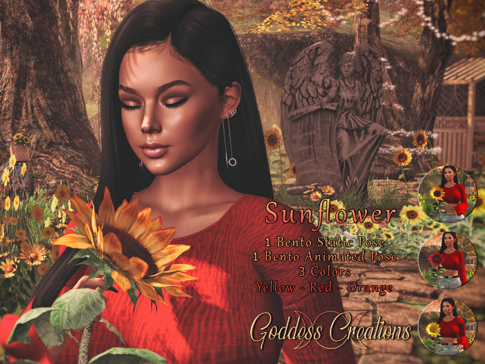 )O( GC: Sunflowers ADD ME