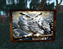 Wall Painting owl white dark