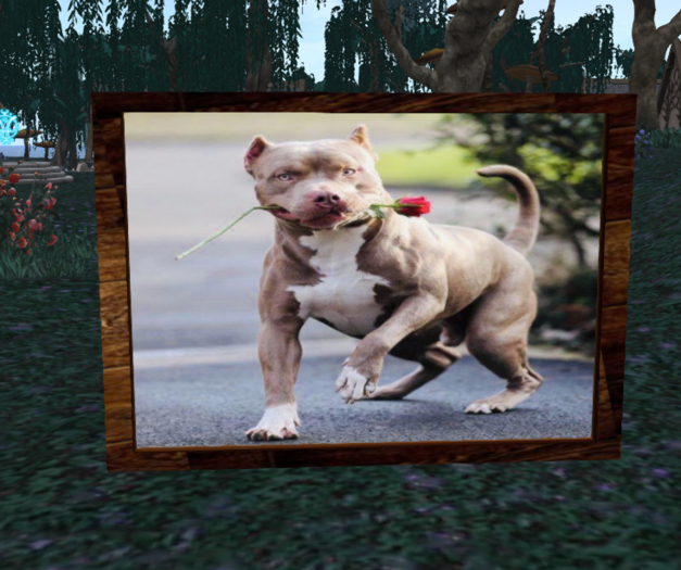 Wall Painting Dog 2