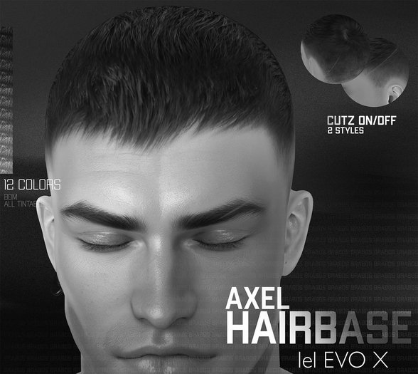 DEMO - Axel Hairbase. BRABOS