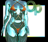 Ethnic Whip Bikini