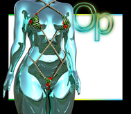 Resort Whip Bikini