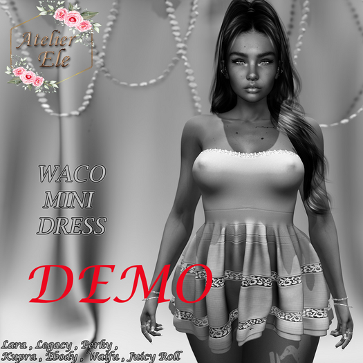 {AE} [ DEMO ]  WACO MINI DRESS