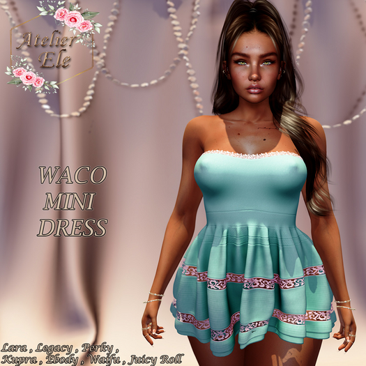 {AE}   WACO MINI DRESS