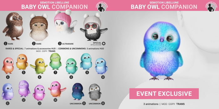 SEmotion Libellune Baby Owl Companion COMMON 14