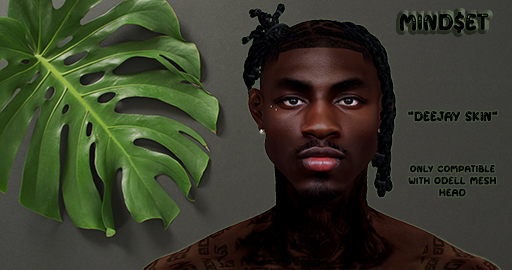 DeeJay Skin (Odell MH)