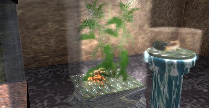 Spider /spinne