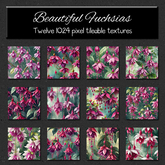 *Wallflowers* Beautiful Fuchsias