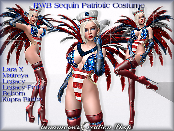 DEMO-RWB Sequin Patriotic Costume