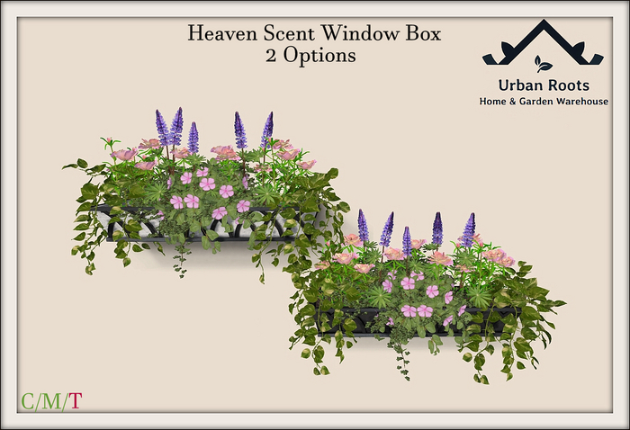 UR Heaven Scent Window Box