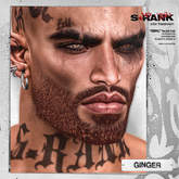 S-RANK "ZEKL" FACIAL HAIR / GINGER