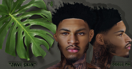 Javi Skin