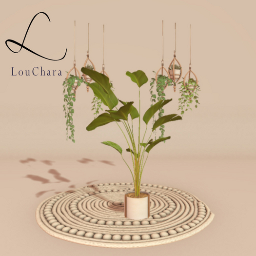 LouChara Alma Plants and Rug 