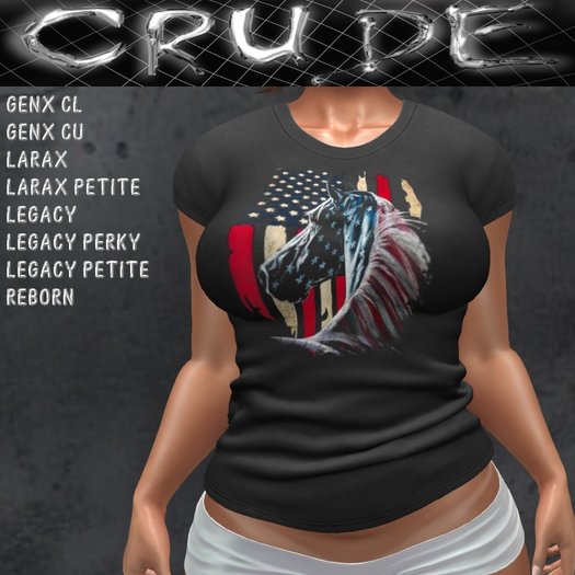 American Horse Women's T-Shirt (WTL)  <Wear Me>