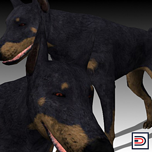 [Danielito] Doberman Pinscher Dog