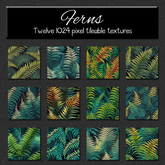 *Wallflowers* Ferns