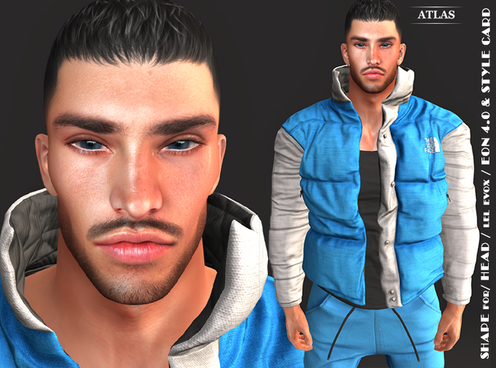 *ATLAS* SHAPE FELIX for LeL EON Head 4.0 & STYLE CARD