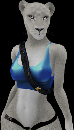 SWO LEMONAED SHIRT BP FOR JOMO F LION V1