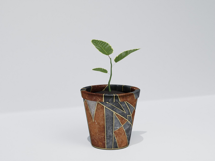 ZADIG. "Vienna" Plant Potted (add me)