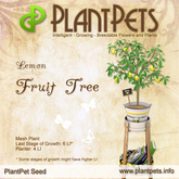 PlantPet Seed [Fruit Tree *Lemon*] Common