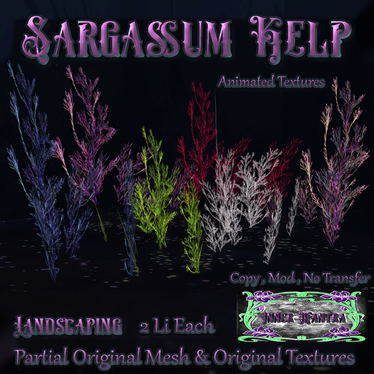 +Inner Mantra+ Sargassum Kelp {Box}
