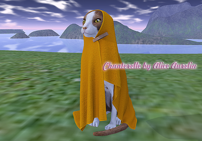 Mutresse - Dobby Cats - 13