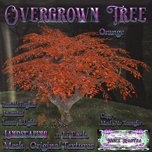 +Inner Mantra+ Overgrown Garden Tree Autumn Orange {Box}