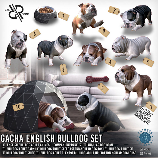 [Rezz Room] Box English Bulldog Adult Animesh (Companion) RARE
