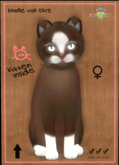 KittyCatS - Chateau Cat - Coffee - Cream No. 1