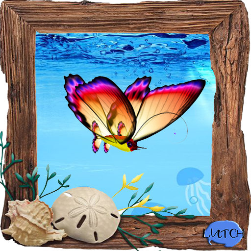 (7S) Uncommon Fish: Butterflyfish Sunset