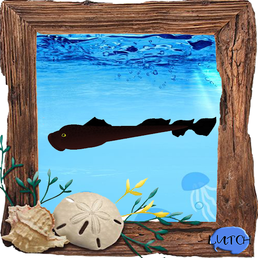 (7S) Rare Fish: Red Lamprey